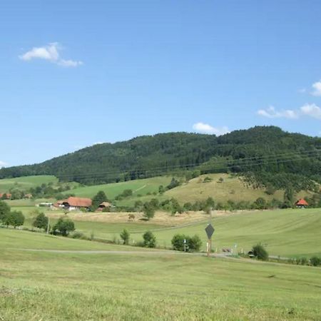 Sonniges-Naturnahes-Schwarzwald-Ferienhaeuschen Welschensteinach Esterno foto