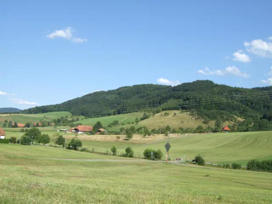 Sonniges-Naturnahes-Schwarzwald-Ferienhaeuschen Welschensteinach Esterno foto