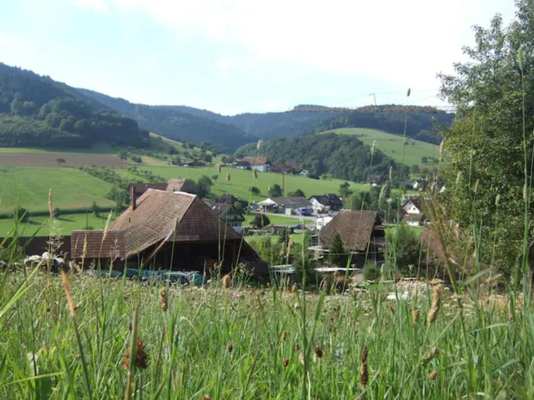 Sonniges-Naturnahes-Schwarzwald-Ferienhaeuschen Welschensteinach Esterno foto