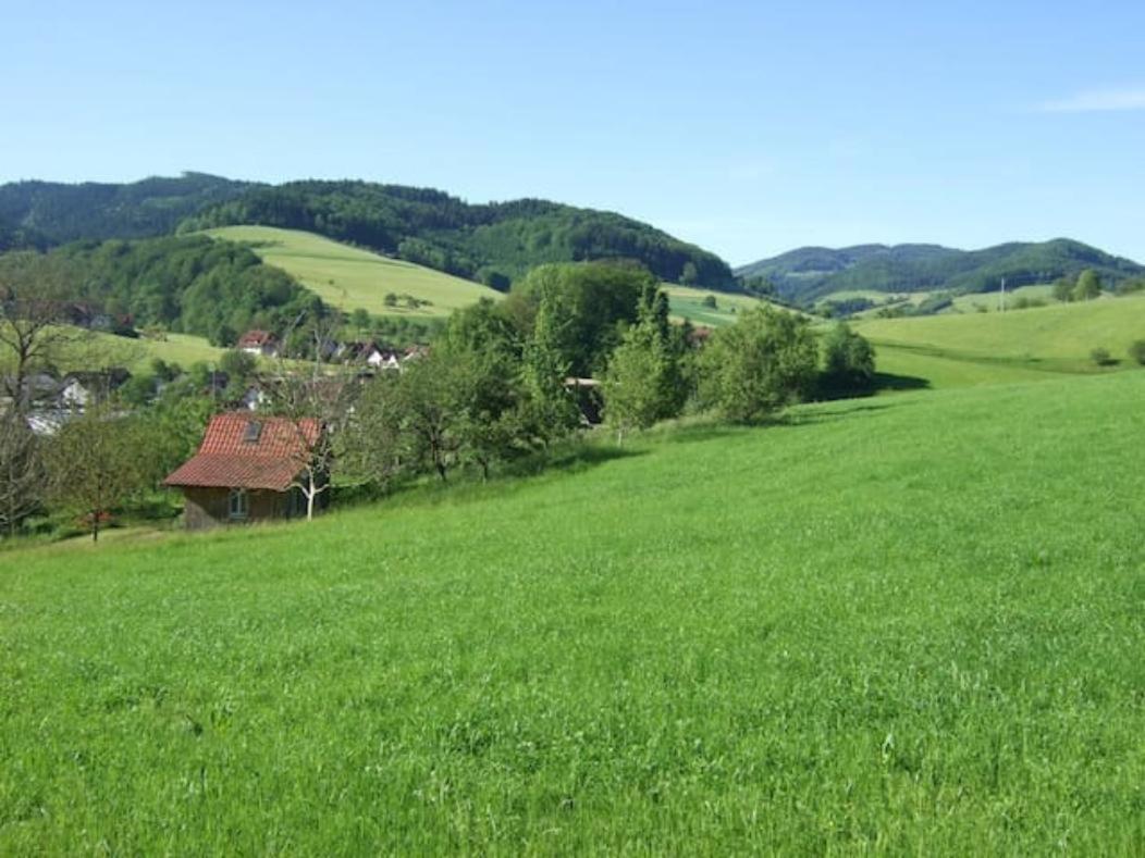 Sonniges-Naturnahes-Schwarzwald-Ferienhaeuschen Welschensteinach Esterno foto