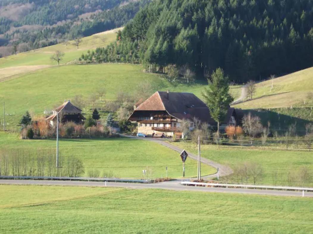 Sonniges-Naturnahes-Schwarzwald-Ferienhaeuschen Welschensteinach Esterno foto